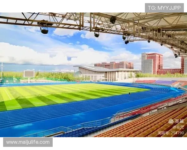 聚焦世界田径赛事劲旅崛起与荣耀征程全景解析实力版图与未来挑战 - 副本 (3) - 副本